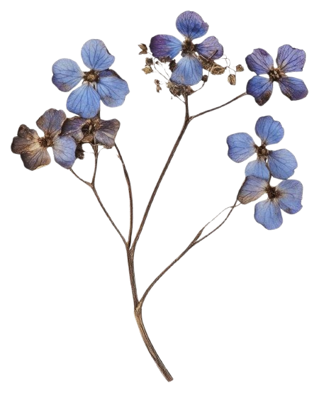 Sympathy & Condolences